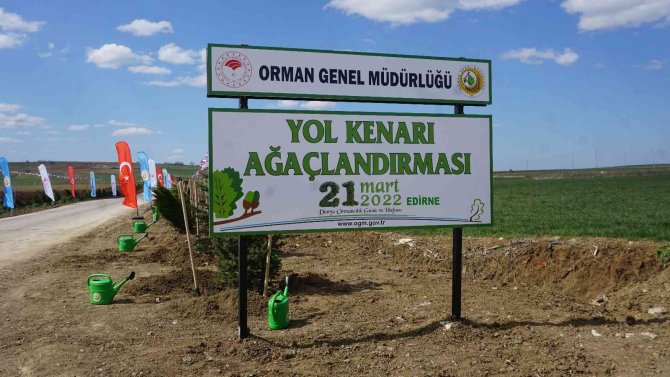 Edirne’de Bu Yıl Hedef: 2 Buçuk Milyon Fidan