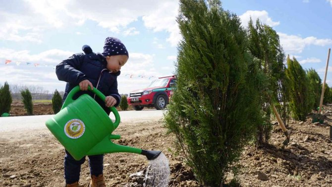 Edirne’de Bu Yıl Hedef: 2 Buçuk Milyon Fidan