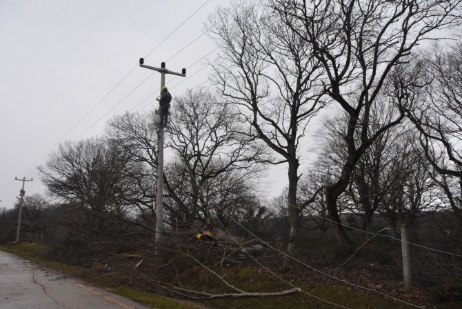 Sinop’ta Enerji Dağıtım Hatları Yenileniyor