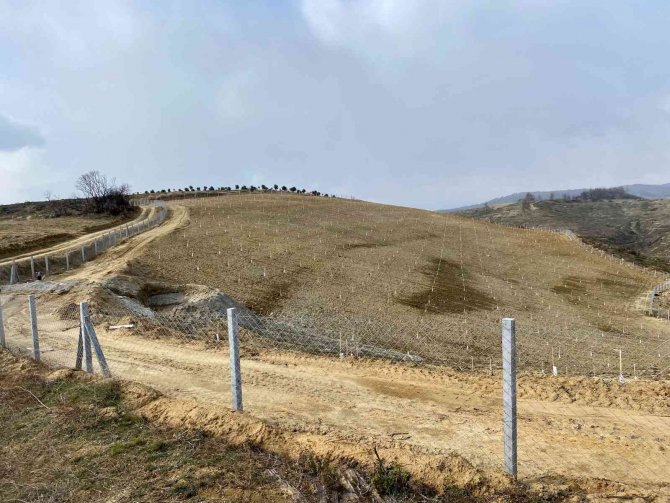 Tarım Arazilerine Yabancı Yatırımcı İlgisi