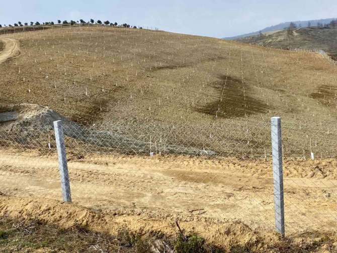 Tarım Arazilerine Yabancı Yatırımcı İlgisi
