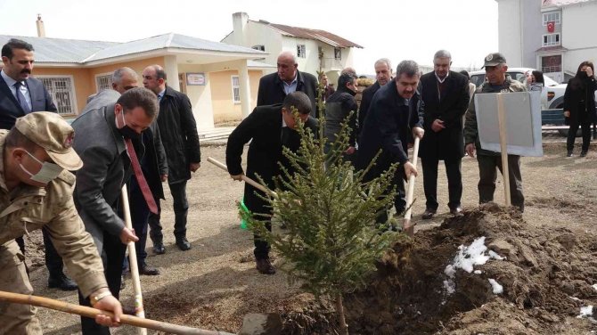 Erciş’te Fidan Dikimi