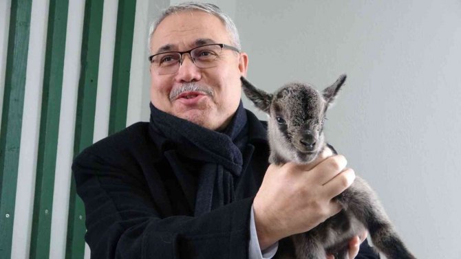 Muş Hayvanat Bahçesinin Yeni Üyesi Dünyaya Gözlerini Açtı