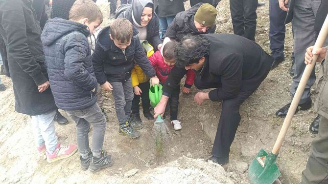 Vezirköprü’de 36 Bin 950 Fidan Toprak İle Buluşacak