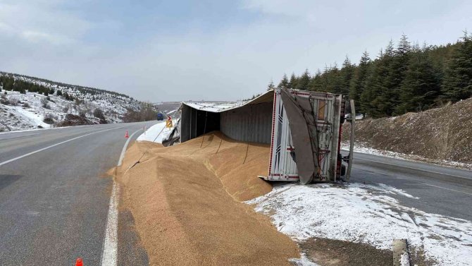 Kontrolden Çıkan Tır Devrildi, 25 Ton Buğday Yola Saçıldı