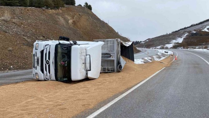 Kontrolden Çıkan Tır Devrildi, 25 Ton Buğday Yola Saçıldı
