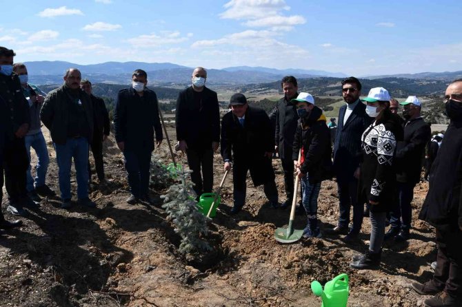 Buldan’da Öğrenciler 200 Fidanı Toprakla Buluşturdu
