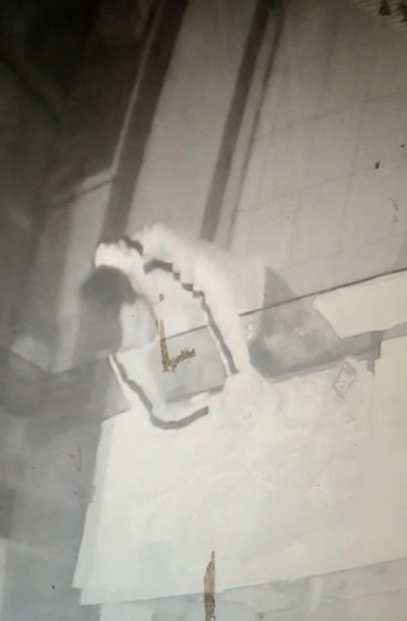 Sma Hastası Bebek İçin Toplanan Bağış Kutusu Çalındı