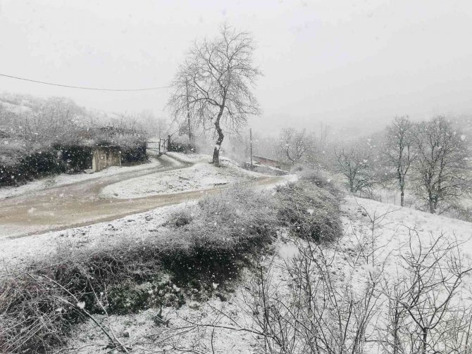 Çanakkale’nin Çan Ve Yenice İlçeleri Beyaza Büründü
