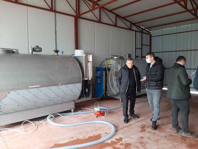 Çiğ Süt Uygun Koşullarda Toplanacak