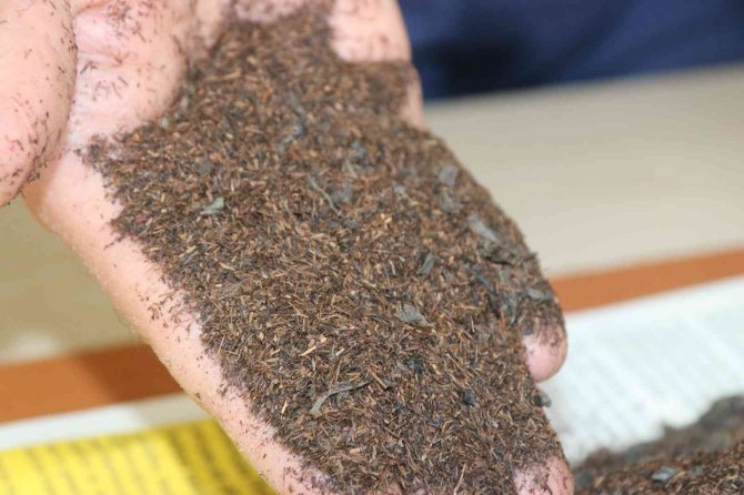 Zabıta Ekipleri Gelen İhbarı Değerlendirdi, Sahte Çay Paketlerinde Talaş Çıktı