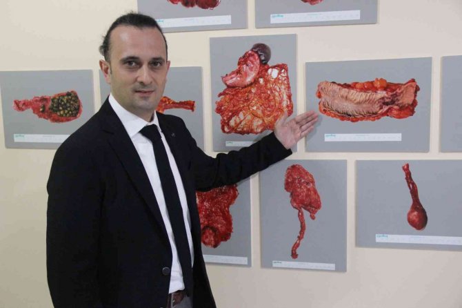 Dünyada Canlı Dokularla Oluşturulmuş İlk Sanatsal Fotoğraf Sergisini Açtı