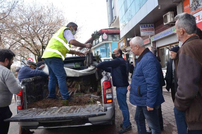 Fatsa’da Ücretsiz Olarak 2 Bin Fidan Dağıtıldı