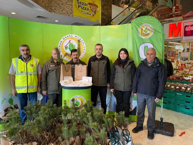 Fatsa’da Ücretsiz Olarak 2 Bin Fidan Dağıtıldı