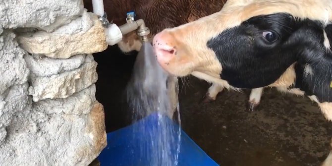 Belediyeden Anlamlı Klip