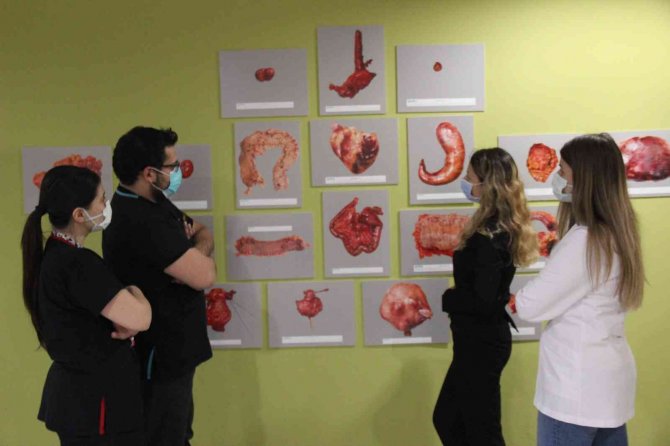 Dünyada Canlı Dokularla Oluşturulmuş İlk Sanatsal Fotoğraf Sergisini Açtı