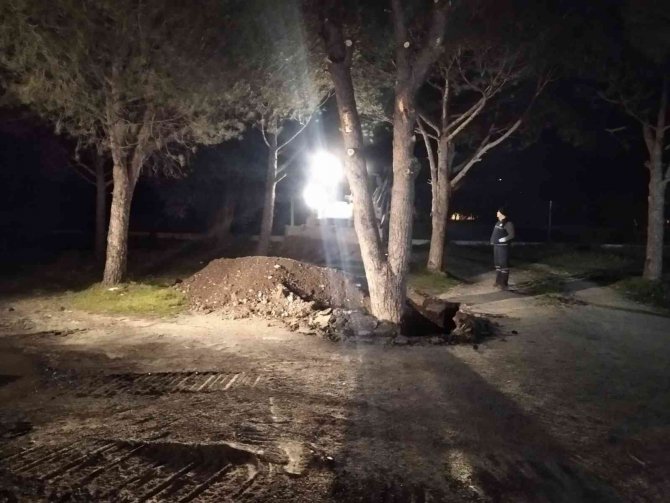 Manisa Büyükşehir’den Akhisar’da Ağaç Duyarlılığı