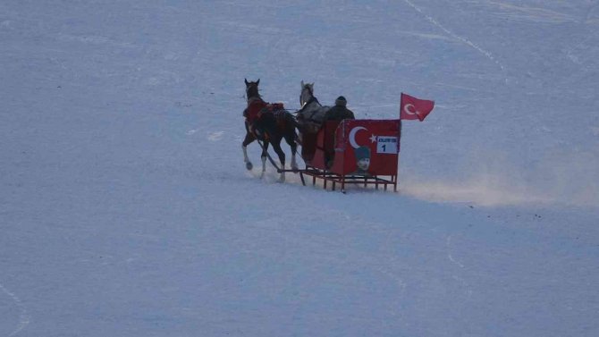 Mart Ayında Atlı Kızak Keyfi