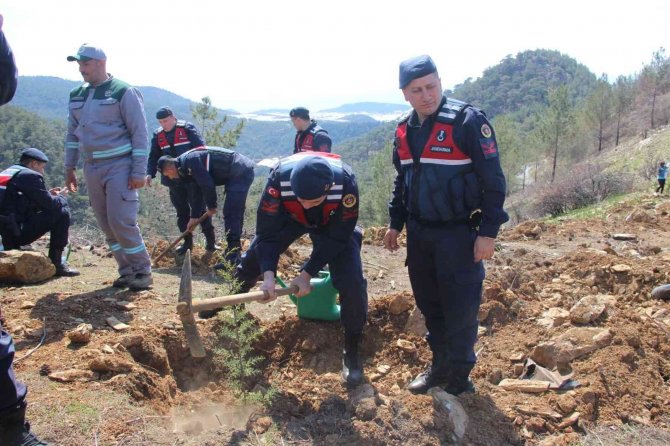Bozyazı’da Fidan Dikim Etkinliği