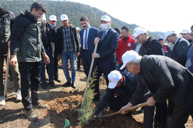 Bozyazı’da Fidan Dikim Etkinliği