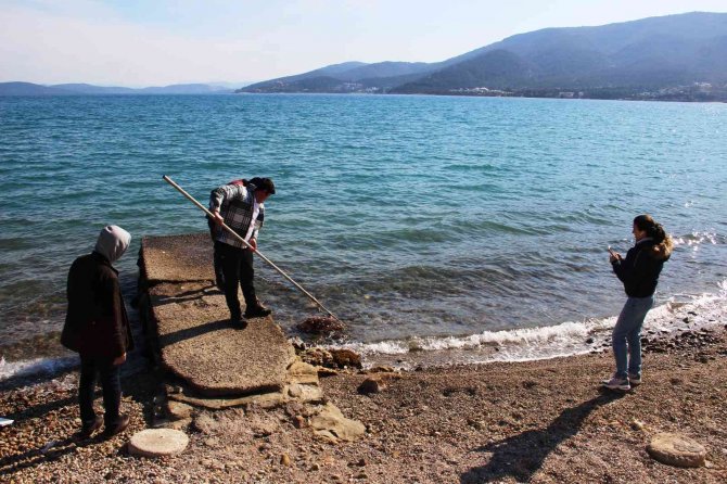 Ölü Caretta Caretayı Görenler Şoke Oldu