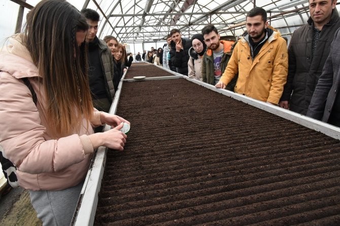 Çiçeklerin Geliri Kırsal Mahalle Okullarına