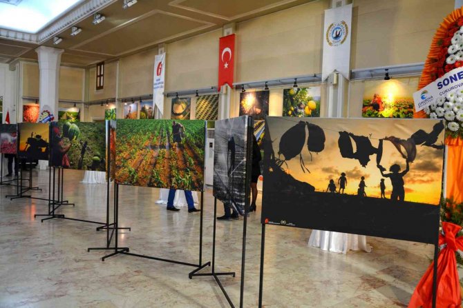 “Çukurova’da Tarım Ve İ̇nsan” Konulu Fotoğraf Sergisi Açıldı