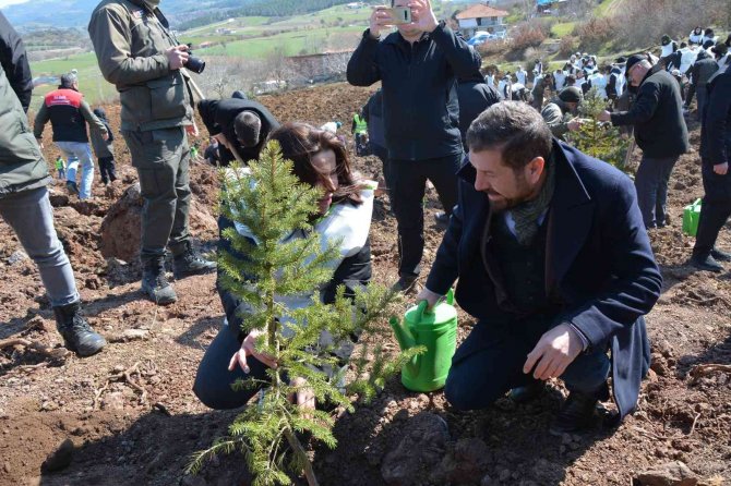 Sındırgı’da Yaklaşık 10 Bin Fidan Toprakla Buluştu