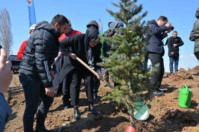 Sındırgı’da Yaklaşık 10 Bin Fidan Toprakla Buluştu