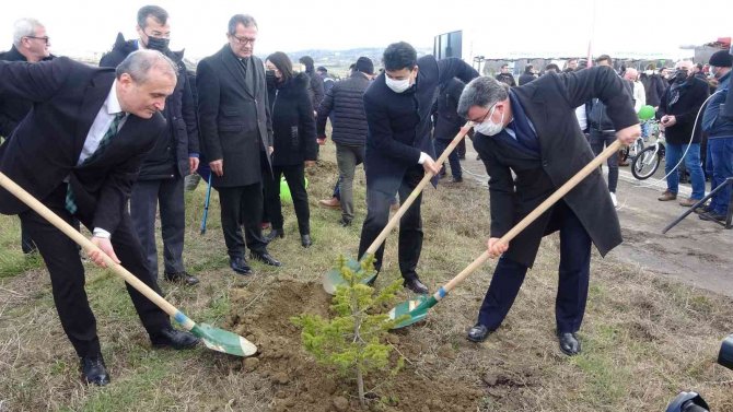Sinop’ta 400 Fidan Toprakla Buluştu