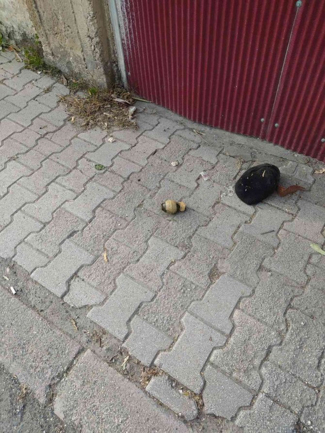 Hatay’da Yol Kenarına El Bombası Atılmasıyla İlgili Gözaltı Sayısı 5’e Yükseldi
