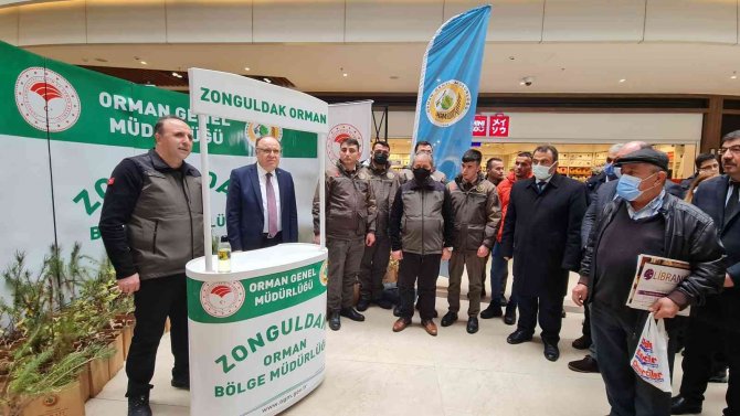 Zonguldak’ta Vatandaşlara Bin Adet Fidan Dağıtıldı