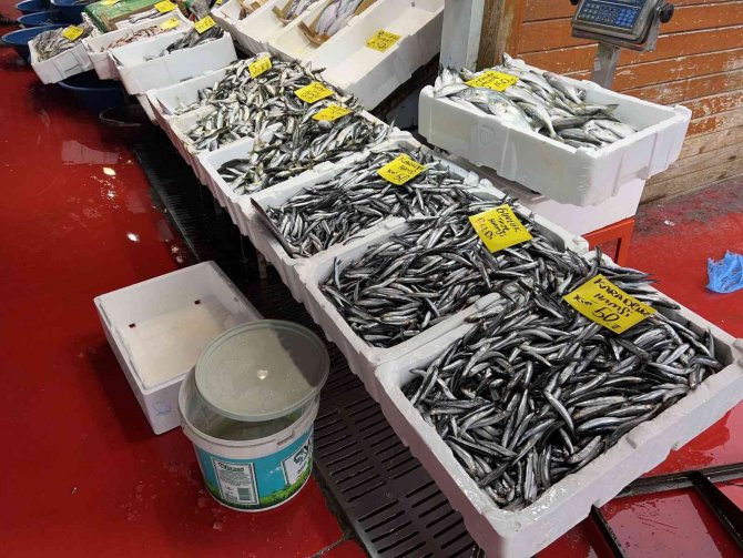 Balık Tezgahlarında Çeşit Çok, Balık Az