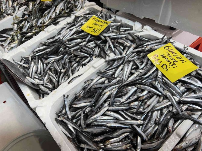 Balık Tezgahlarında Çeşit Çok, Balık Az