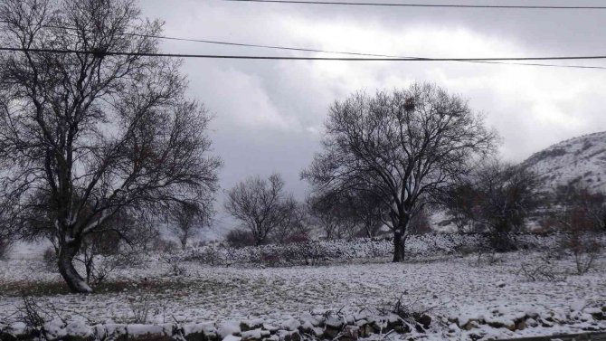 Çiçek Açan Badem Ağaçları Kar Altında Kaldı