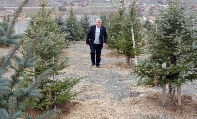Bozkırı Yeşillendiren ‘Oksijen Adam’ 300 Bin Fidanı Toprakla Buluşturdu