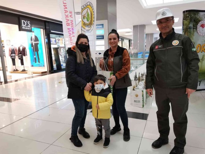 Bursalılara Ücretsiz 35 Bin Fidan Dağıtılacak