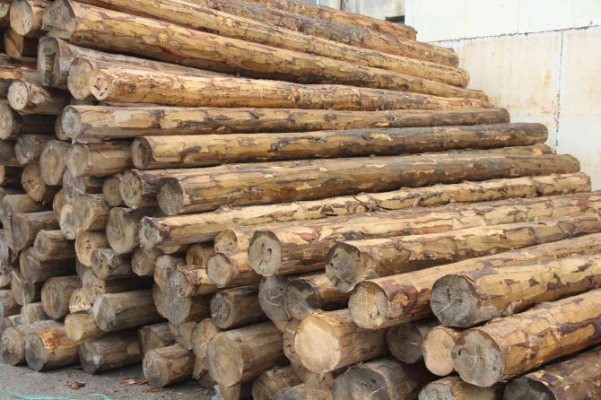 Rusya Ambargosu Türkiye’ye Fırsatları Ve Sıkıntıları Beraber Sunuyor