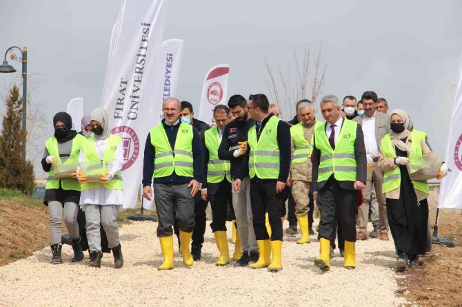 3 Milyon Aromatik Fide Tohumu Toprakla Buluştu