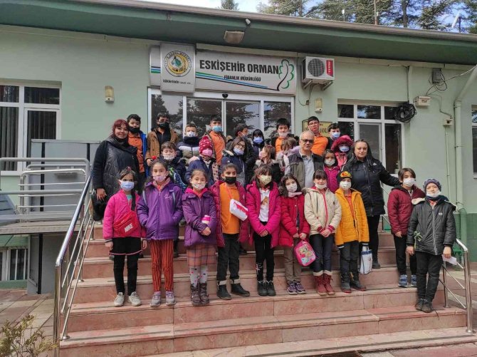 İ̇lkokul Öğrencileri Ağaç Ve Toprağı Tanıdı