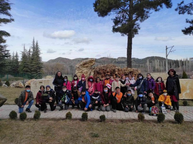 İ̇lkokul Öğrencileri Ağaç Ve Toprağı Tanıdı