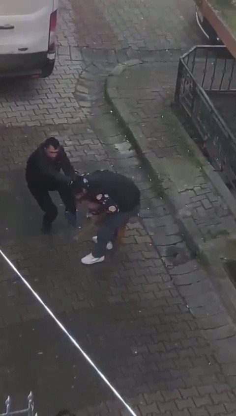 Güngören’de Pitbul Dehşeti, Pitbulun Isırdığı Genci Zor Kurtardılar