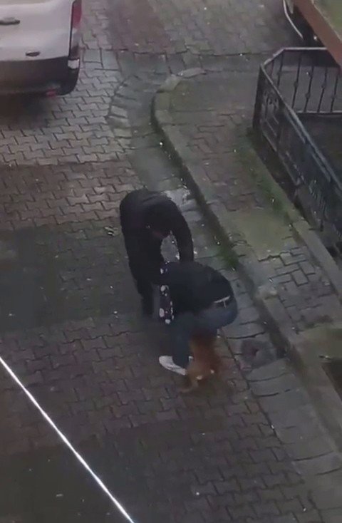 Güngören’de Pitbul Dehşeti, Pitbulun Isırdığı Genci Zor Kurtardılar