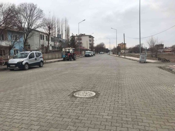 Iğdır’da "Mavi Dil" Hastalığı Tedirgin Etti