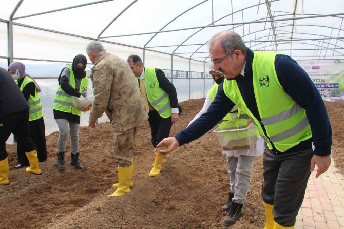 3 Milyon Aromatik Fide Tohumu Toprakla Buluştu