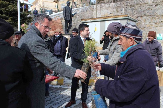 Sarıveliler İlçesinde Vatandaşlara Fidan Dağıtıldı