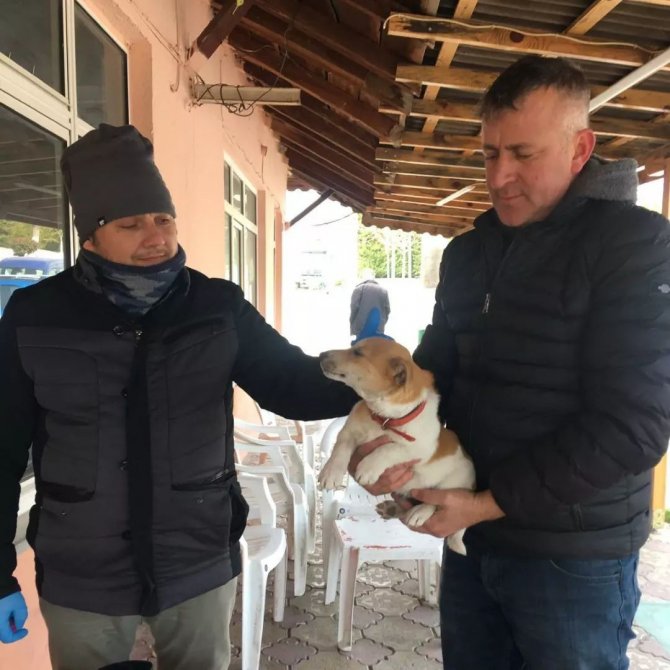 Kırklareli’nde Kedi Ve Köpekler Kuduz Aşısı Uygulanıyor