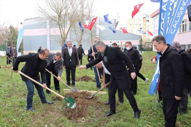 Meyve Fidanları Toprakla Buluşuyor