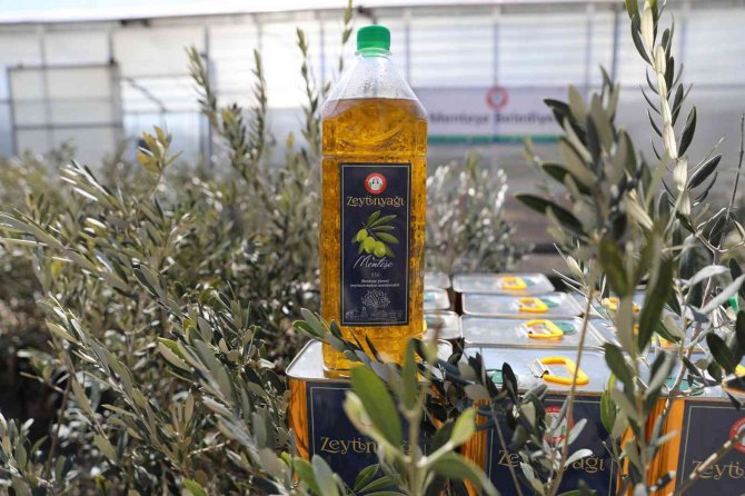 Zeytinyağları İhtiyaç Sahiplerine Dağıtılıyor