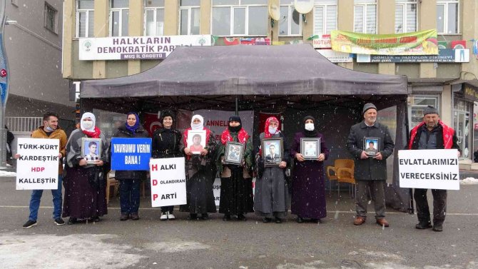 Muş’ta Evlat Nöbeti Tutan Ailelerin Sayısı 29’a Yükseldi